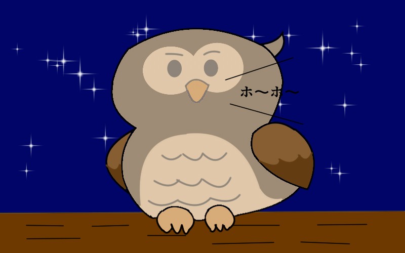 コラム【SBC横浜メンバー　よっちゃん】